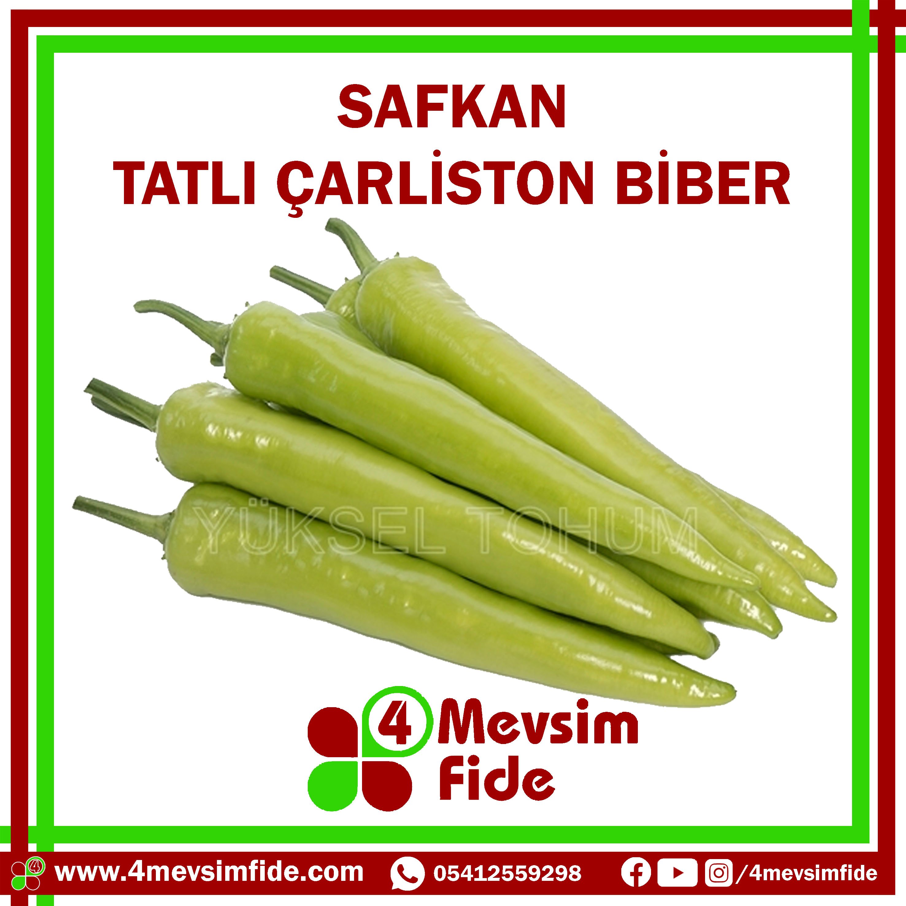 Safkan F1 Çarliston